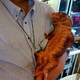 Image for article titled A Look Inside Japan's Reptile Cafes